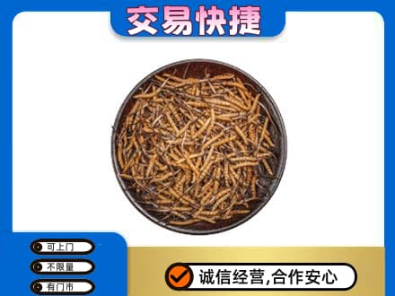 衢州柯城区回收散虫草